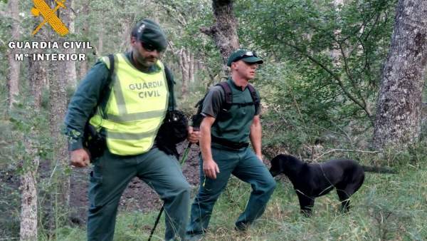 Labores de búsqueda en Areños (Palencia) Labores de búsqueda en Areños (Palencia)