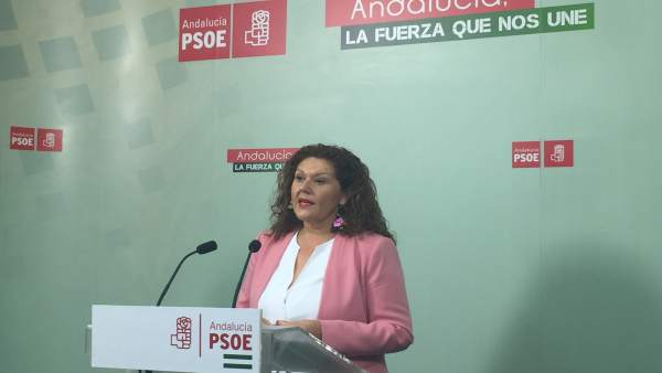 La secretaria de Organización del PSOE de Cádiz, Araceli Maese La secretaria de Organización del PSOE de Cádiz, Araceli Maese