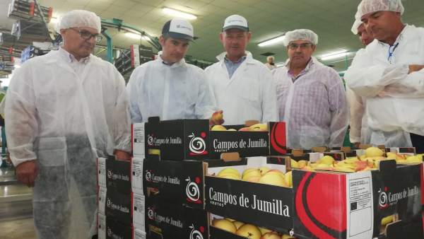 Del Amor visita la Cooperativa Hortofrutícola Campos de Jumilla Del Amor visita la Cooperativa Hortofrutícola Campos de Jumilla