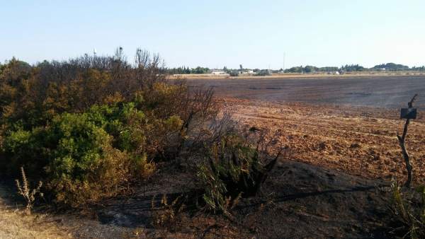 Bomberos de Chiclana intervienen en un incendio próximo a viviendas Bomberos de Chiclana intervienen en un incendio próximo a viviendas