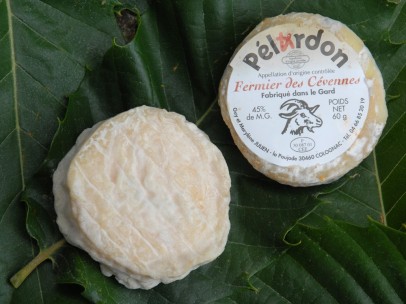 Queso pélardon en imagen de archivo.