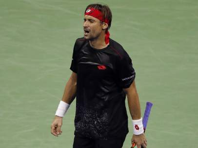 David Ferrer