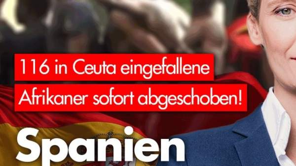 Alice Weidel, la portavoz parlamentaria de AFD Alice Weidel, la portavoz parlamentaria de AFD