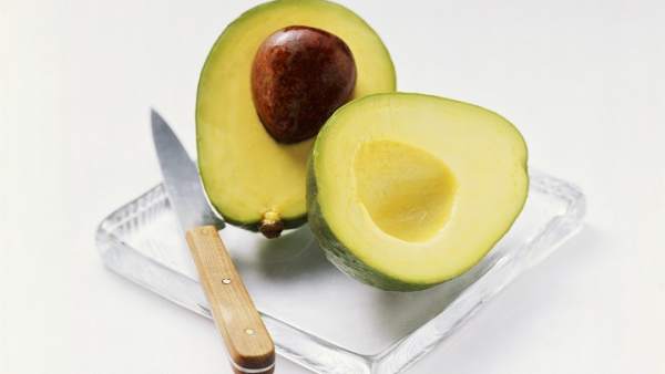 Aguacate Aguacate