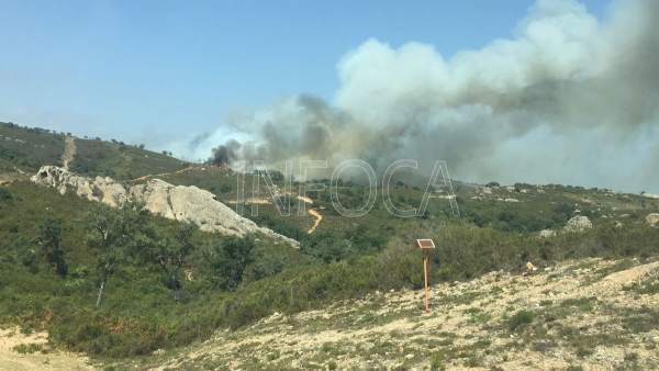 Incendio en paraje Valdeinfierno en Los Barrios Incendio en paraje Valdeinfierno en Los Barrios