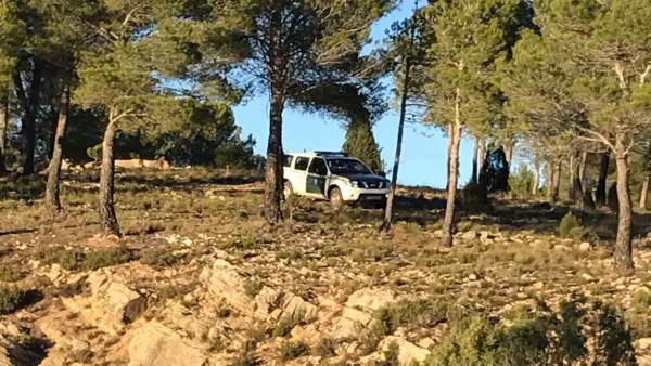 La Guardia Civil ha localizado a 4 personas perdidas al recolectar setas La Guardia Civil ha localizado a 4 personas perdidas al recolectar setas