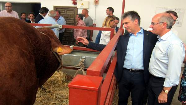 Cosidó en su visita a 'Salamaq 2018. Cosidó en su visita a 'Salamaq 2018.