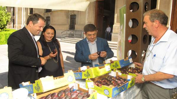 Muestra de la provincia Muestra de la provincia