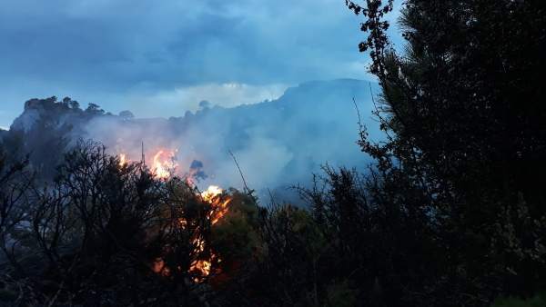 Incendio forestal en Albuñuelas (Granada) Incendio forestal en Albuñuelas (Granada)