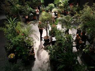 Conde Duque estrena temporada con la instalación efímera 'Garden State'