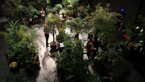 Conde Duque estrena temporada con la instalación efímera 'Garden State' Conde Duque estrena temporada con la instalación efímera 'Garden State'