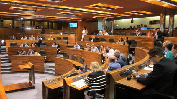 Pleno de la Junta General Pleno de la Junta General