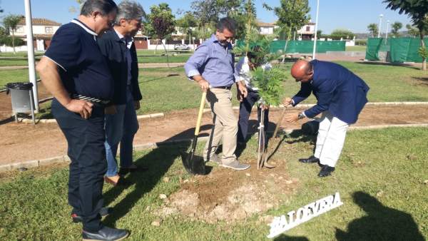 Sánches y Peinado plantan uno de los árboles Sánches y Peinado plantan uno de los árboles