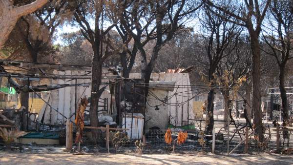 Camping Doñana tras el incendio de junio. Camping Doñana tras el incendio de junio.