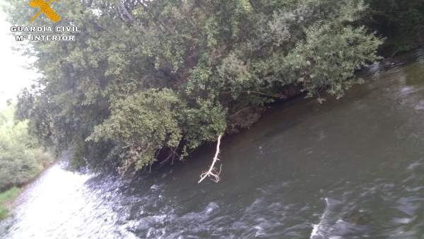 Imagen del rescate. Imagen del rescate.