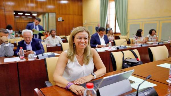 La parlamentaria del PP Teresa Ruiz-Sillero La parlamentaria del PP Teresa Ruiz-Sillero