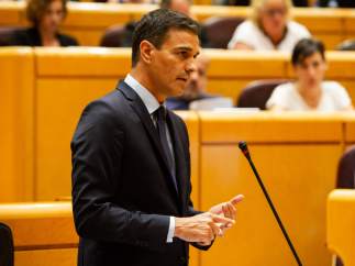 El presidente del Gobierno Pedro Sánchez en el Senado