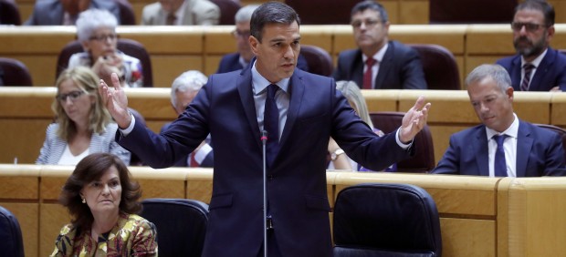 Pedro Sánchez en el pleno del Senado