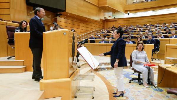 María Fernández toma posesión de su acta como senadora por Asturias María Fernández toma posesión de su acta como senadora por Asturias