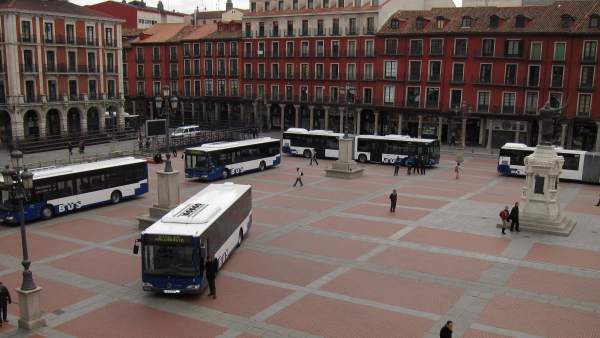 Algunos de los nuevos autobuses de Auvasa, en la Plaza Mayor de Valladolid Algunos de los nuevos autobuses de Auvasa, en la Plaza Mayor de Valladolid
