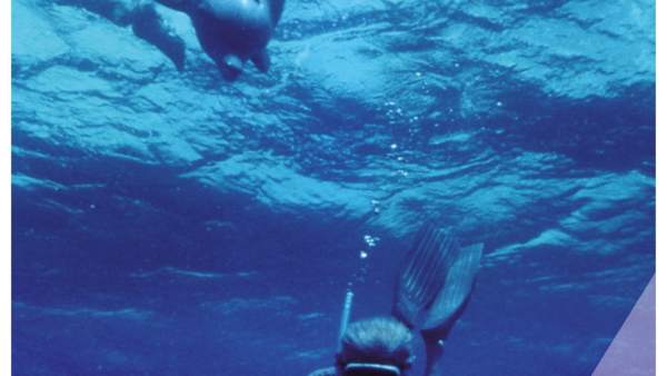 El Flime 'Dolphin Man' El Flime 'Dolphin Man'
