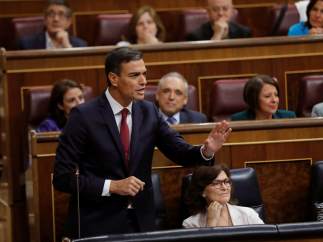 Pedro Sánchez