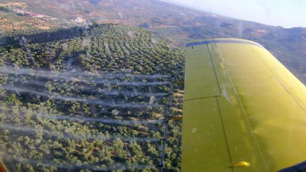 Tratamiento aéreo contra la mosca del olivo en la comarca jiennense de Segura. Tratamiento aéreo contra la mosca del olivo en la comarca jiennense de Segura.