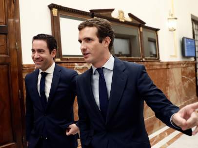 Egea y Casado, en el Congreso