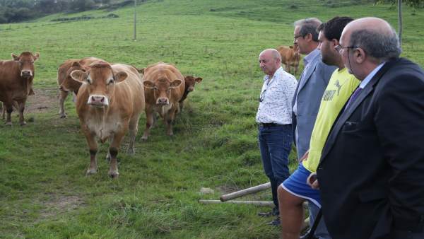 Oria visita la Ganadería Asón Oria visita la Ganadería Asón