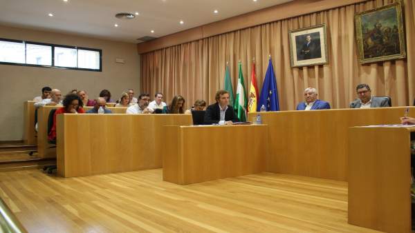 Pleno de Vélez-Málaga Pleno de Vélez-Málaga