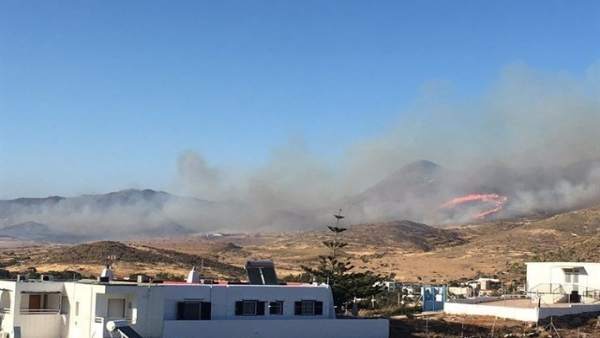 Incendio forestal en El Pozo de los Frailes en junio de 2017 Incendio forestal en El Pozo de los Frailes en junio de 2017