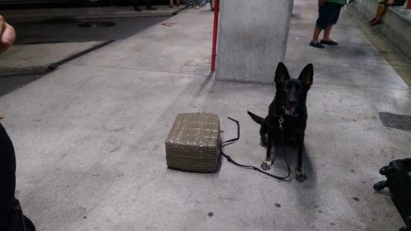 El agente de la Unidad Canina que halló la droga en la maleta El agente de la Unidad Canina que halló la droga en la maleta