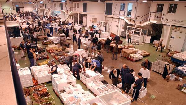 Mercamálaga, Lonja, Pescado, Compra, Mercado, Abastos, Marisco, fruta, verdura Mercamálaga, Lonja, Pescado, Compra, Mercado, Abastos, Marisco, fruta, verdura