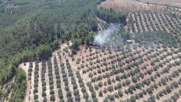 Incendio forestal en Pozo Alcón (Jaén) Incendio forestal en Pozo Alcón (Jaén)