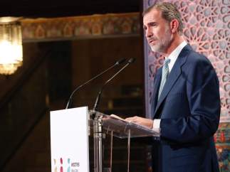 El Rey Felipe VI