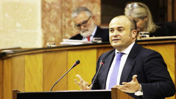 El parlamentario de Cs por la provincia de Huelva, Julio Díaz. El parlamentario de Cs por la provincia de Huelva, Julio Díaz.