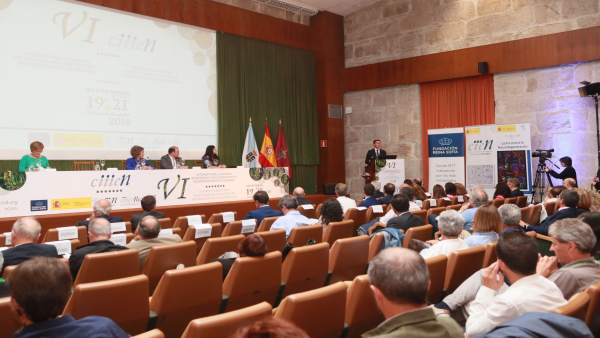 VI Congreso de Investigación e Innovación en Enfermedades Neurodegenerativas. VI Congreso de Investigación e Innovación en Enfermedades Neurodegenerativas.