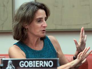 Teresa Ribera