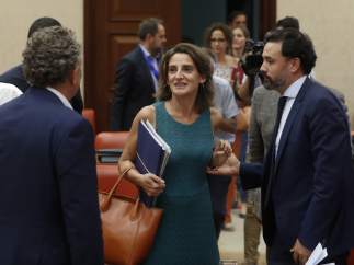 Teresa Ribera