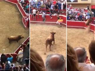 Novillo en Villafranca