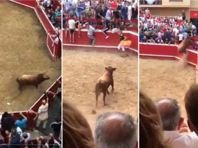 Novillo en Villafranca