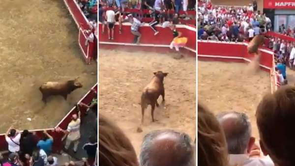Novillo en Villafranca Novillo en Villafranca