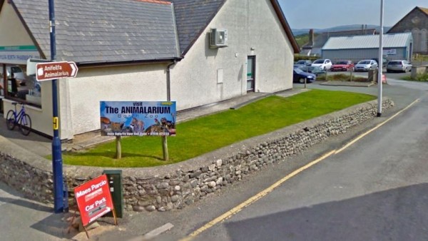 Borth Zoo Borth Zoo