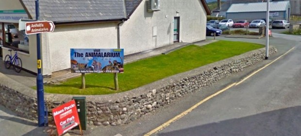 Borth Zoo