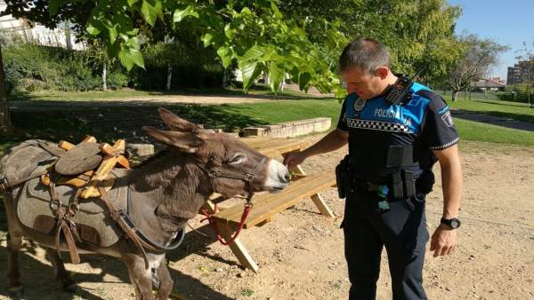 Un agente de la Policía Municipal junto al burro Un agente de la Policía Municipal junto al burro