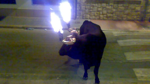 Toro embolado Toro embolado