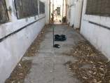 Limpieza vecinal en Sport Aljarafe