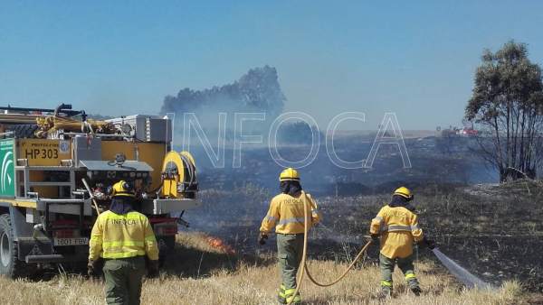 El Infoca interviene en un incendio agrícola en Almonte. El Infoca interviene en un incendio agrícola en Almonte.