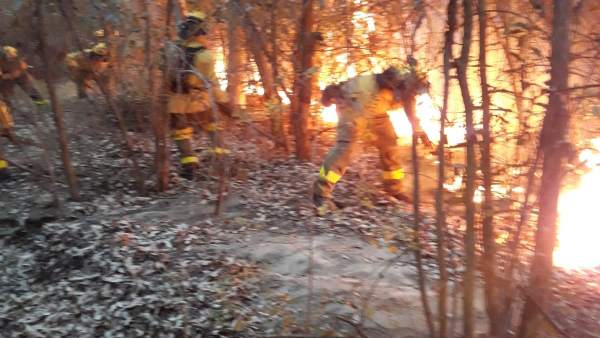 Efectivos del Infoca intervienen en un incendio en Almonte. Efectivos del Infoca intervienen en un incendio en Almonte.