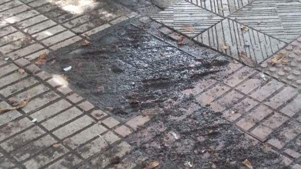 Aspecto del Paseo de la Condesa de León. Aspecto del Paseo de la Condesa de León.